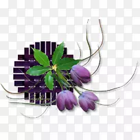 花卉设计剪花网页浏览器-花卉