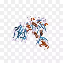 脂肪酶PCSK 9进化蛋白转换酶结构-结构