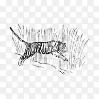 虎线艺术素描-欧亚山猫