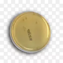 微生物学研究培养皿生长培养基工业