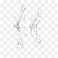 构造解剖学画剪贴画