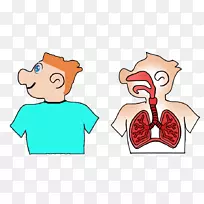 鼻、口、呼吸系统、耳、体-鼻