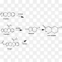 Ⅱ型拓扑异构酶双螺旋：DNA药物二磷酸腺苷受体抑制剂结构的发现