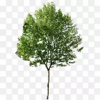 树型计算机图标-一架飞机