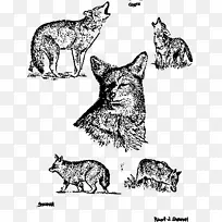 猫剪贴画-猫