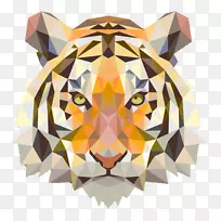 虎几何猫科三角形虎
