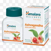 喜马拉雅药业公司健康、健身、健康-阿育吠陀胶囊-片剂