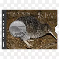 新西兰小斑点猕猴桃银币大斑点猕猴桃银