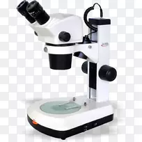远程教育显微镜课程商店-ws Darley co