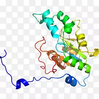 线点生物剪贴画线