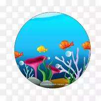 鱼类海洋水下海洋生物-鱼类