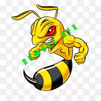 黄蜂摄影版税-免蜜蜂