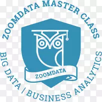 Zoomdata徽标业务分析组织