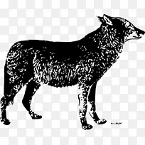 雪普拉西伯利亚雪橇犬澳大利亚牛犬捷克斯洛伐克狼狗萨勒斯狼狗大坏狼龙