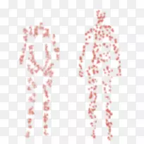 线粉红色m点颈字形线