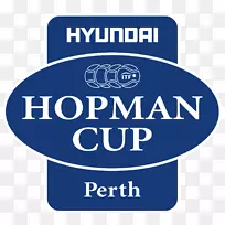 2016霍普曼杯2018年霍普曼杯2011霍普曼杯网球2013戴维斯杯网球