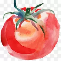 番茄汤水彩画