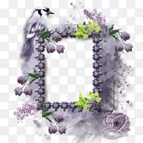 花卉设计紫色薰衣草画框.紫色