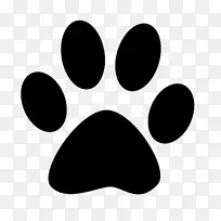 秋田爪西伯利亚哈士奇猫宠物猫