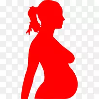 妊娠母亲产前护理人绒毛膜促性腺激素妊娠