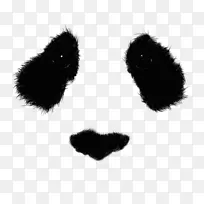 大熊猫熊画考拉iphone 8-熊