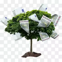 树形摄影画钱-树