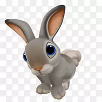 兔子欧洲兔家用兔电脑图标-兔子