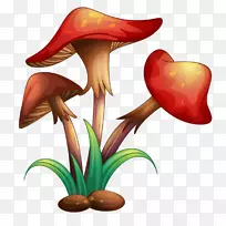 免版税蘑菇插画-蘑菇