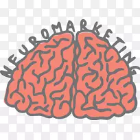 神经营销听觉视觉感知大脑PercepcióSonora-大脑