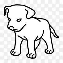 养猫白狗