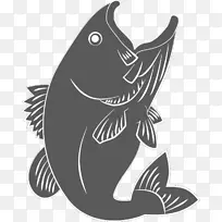 海洋白色食肉鱼
