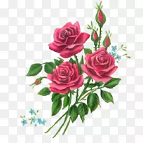 花束设计玫瑰剪贴画-花