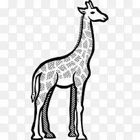 长颈鹿线画夹艺术长颈鹿