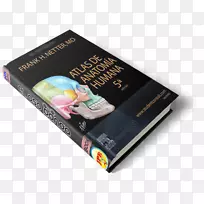 阿特拉斯德解剖学与人类解剖学书人类生理学-书籍