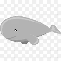 灰鲸头盖骨座头鲸剪贴画