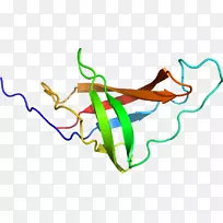 线点生物剪贴画线