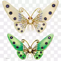 胸针蝴蝶和飞蛾夹艺术.帕皮利奥