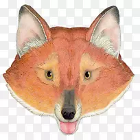 红狐洞光景-佐罗