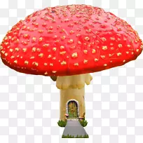 蘑菇乌鲁鲁木耳笑-蘑菇