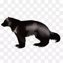 熊芥菜皮陆生动物野生动物-熊