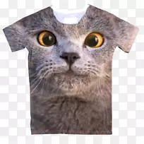 t恤YouTube亚伦公司猫音乐家t恤