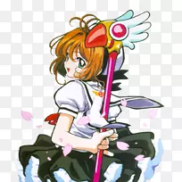 樱花Kinomoto Cerberus Tomoyo daidouji syoran li Toya Kinomoto-人