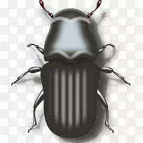 山松甲虫瓢虫剪贴画-龙角甲虫