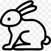 复活节兔子电脑图标兔子剪贴画-兔子