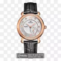 汉密尔顿手表公司手表表带钟表