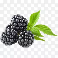 低碳水化合物饮食水果生酮饮食-黑莓