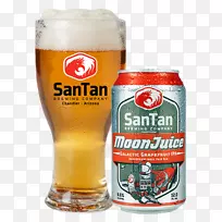 桑丹啤酒酿造公司-印度圣马科斯啤酒蓝月亮葡萄柚汁