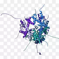 细胞培养中氨基酸标记蛋白质生物化学稳定同位素