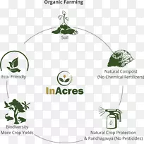 有机农业和生物多样性有机食品转化为有机农业