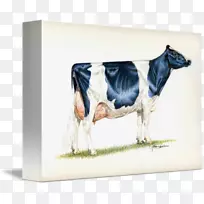 奶牛、荷斯坦牛、弗里西亚牛、格恩西河牛、牛奶、高地牛-牛奶